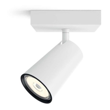 Philips 50571/31/PN - LED Spotlight MYLIVING PAISLEY 1xGU10/5,5W/230V