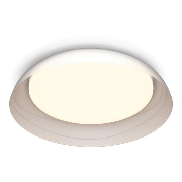 Philips - LED Dimbar taklampa FLETA LED/10W/230V 2700K genomskinlig