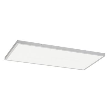 Rabalux - LED fäst panel LED/80W/230V 4000K 120x60 cm