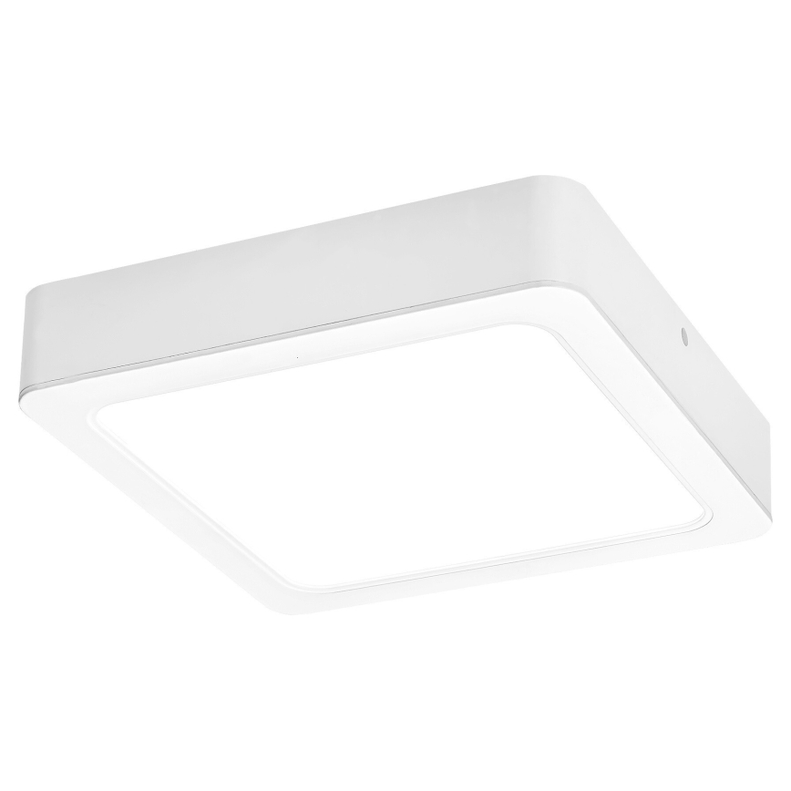 Rabalux - LED taklampa LED/15W/230V 4000K 16x16 cm vit