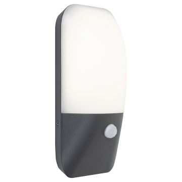 Rabalux 7997 - LED Utomhus Väggbelysning med sensor LED/11W/230V IP54