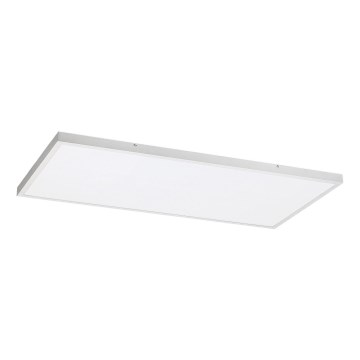 Rabalux - LED fäst panel LED/80W/230V 4000K 120x60 cm