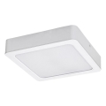 Rabalux - LED taklampa LED/24W/230V 3000K 22x22 cm vit