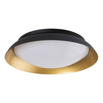 Rabalux - LED taklampa LED/24W/230V 3000K diameter 40 cm