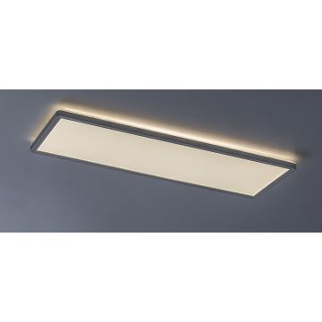 Rabalux - LED Ytmonterad panel LED/22W/230V