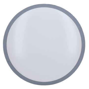 LED Dimbar taklampa GREY LED/60W/230V 3000-6500K grå diameter 49 cm + fjärrkontroll