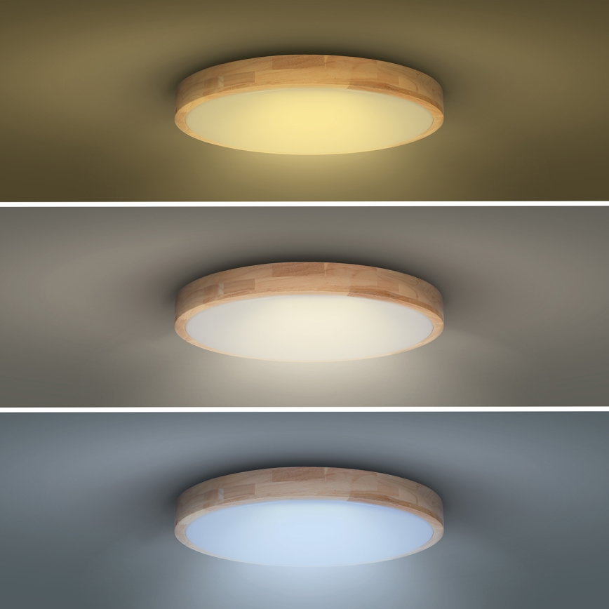 LED Dimbar taklampa SOLID OAK LED/48W/230V 3000-6500K ek diameter 39 cm + fjärrkontroll