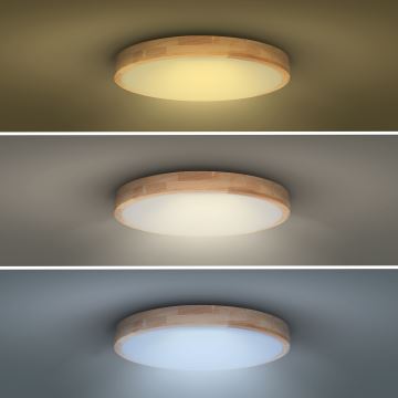 LED Dimbar taklampa SOLID OAK LED/60W/230V 3000-6500K ek diameter 51 cm + fjärrkontroll