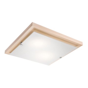 Taklampa 2xE27/60W/230V - FSC certifierade