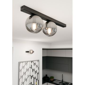 Taklampa FIT 2xE14/10W/230V svart/grå