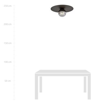 Taklampa SOLAR 1xE14/10W/230V svart/grå