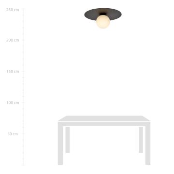 Taklampa SOLAR 1xE14/10W/230V svart/vit