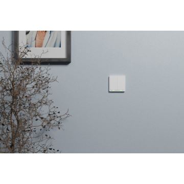 TESLA Smart - Smart strömbrytare 2P 230V Zigbee