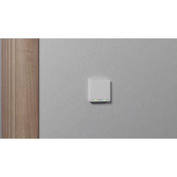 TESLA Smart - Smart strömbrytare 2P 230V Zigbee