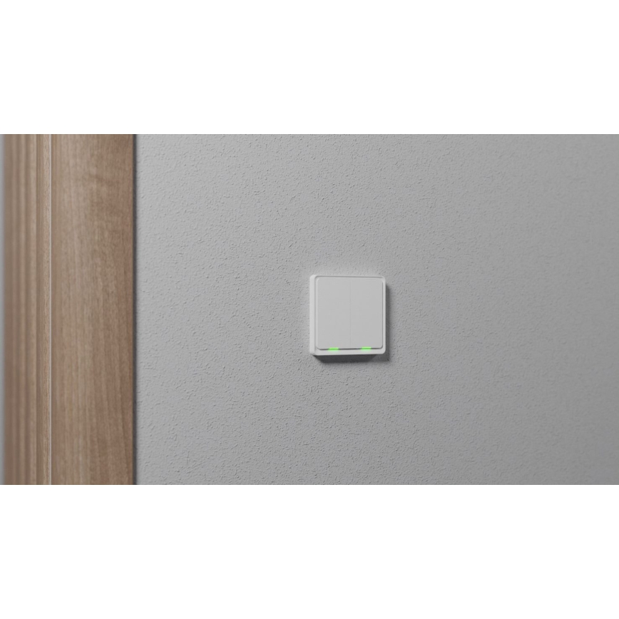 TESLA Smart - Smart strömbrytare 2P 230V Zigbee