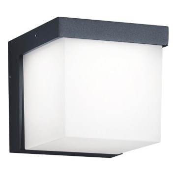 Trio - LED vägglampa för utomhusbruk YANGTZE LED/4,5W/230V IP54 3000K