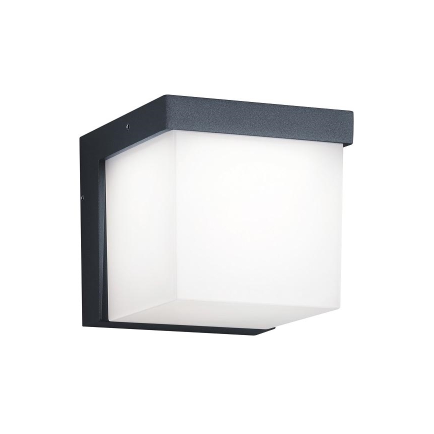 Trio - LED vägglampa för utomhusbruk YANGTZE LED/4,5W/230V IP54 3000K