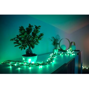 Twinkly - LED RGB Ljusreglerad utomhus Julkedja STRINGS 250xLED 23,5m IP44 Wi-Fi