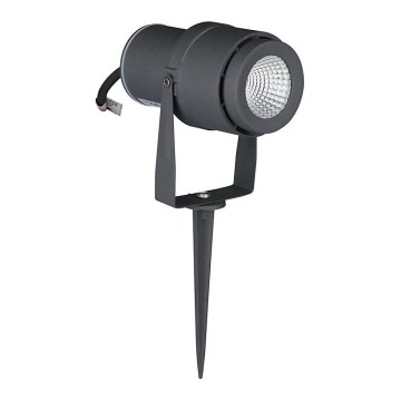 Utomhus LED belysning LED/12W/100-240V IP65