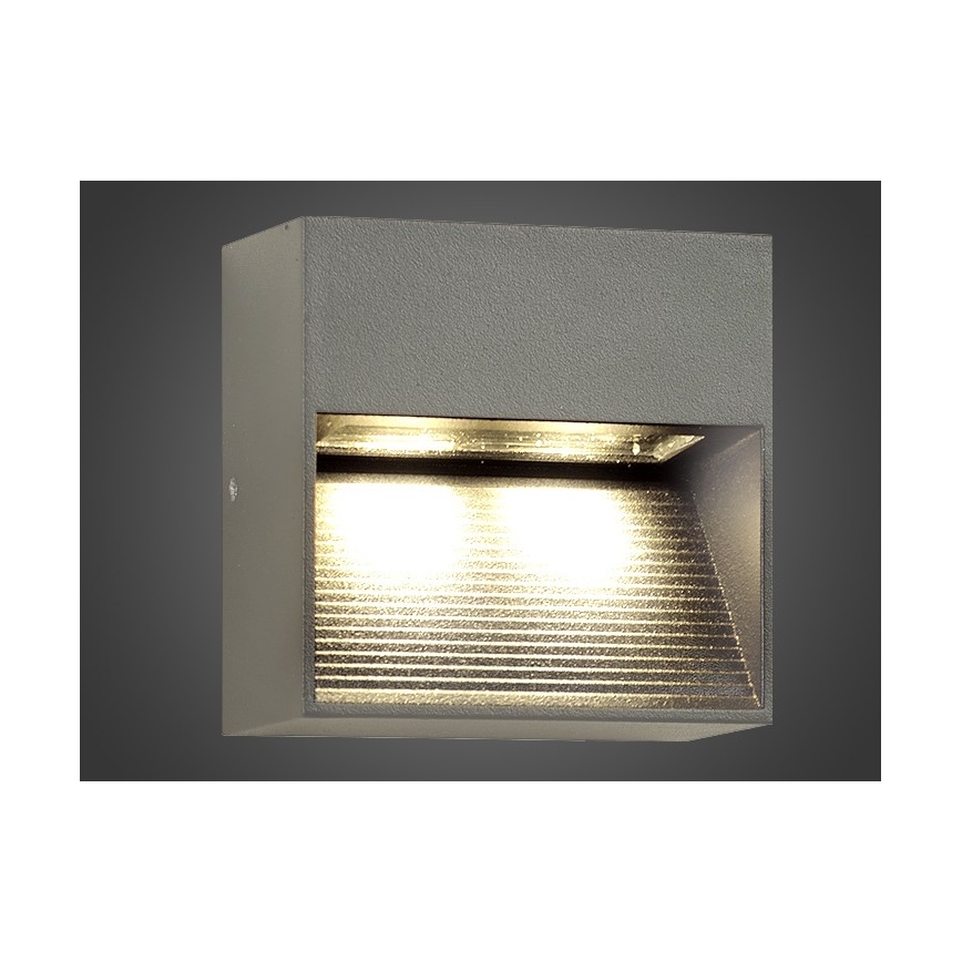 Utomhus LED Väggbelysning NINION LED/2W/230V IP54