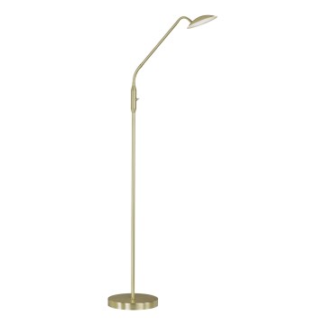 Wofi 3446.01.32.7000 - LED Dimbar golvlampa ORTA LED/12W/230V mässing