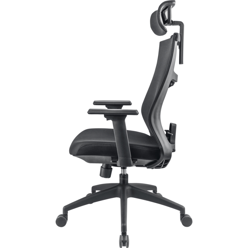 AeryChair  Best Fully-Adjustable Ergonomic Chair