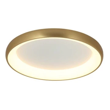 Zambelis 2050 - LED Dimbar taklampa LED/50W/230V diameter 60 cm guld