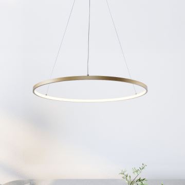 Zuma Line - LED ljuskrona med textilsladd LED/36W/230V 3000/4000/6000K diameter 80 cm guld