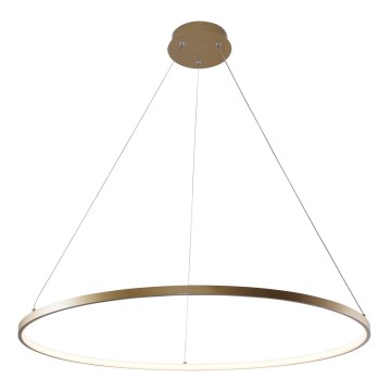 Zuma Line - LED ljuskrona med textilsladd LED/36W/230V 3000/4000/6000K diameter 80 cm guld