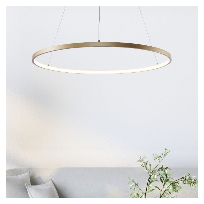 Zuma Line - LED ljuskrona med textilsladd LED/36W/230V 3000/4000/6000K diameter 80 cm guld